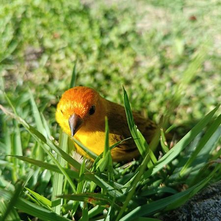 Toca dos Coelhos Chalés Carrancas Exterior foto