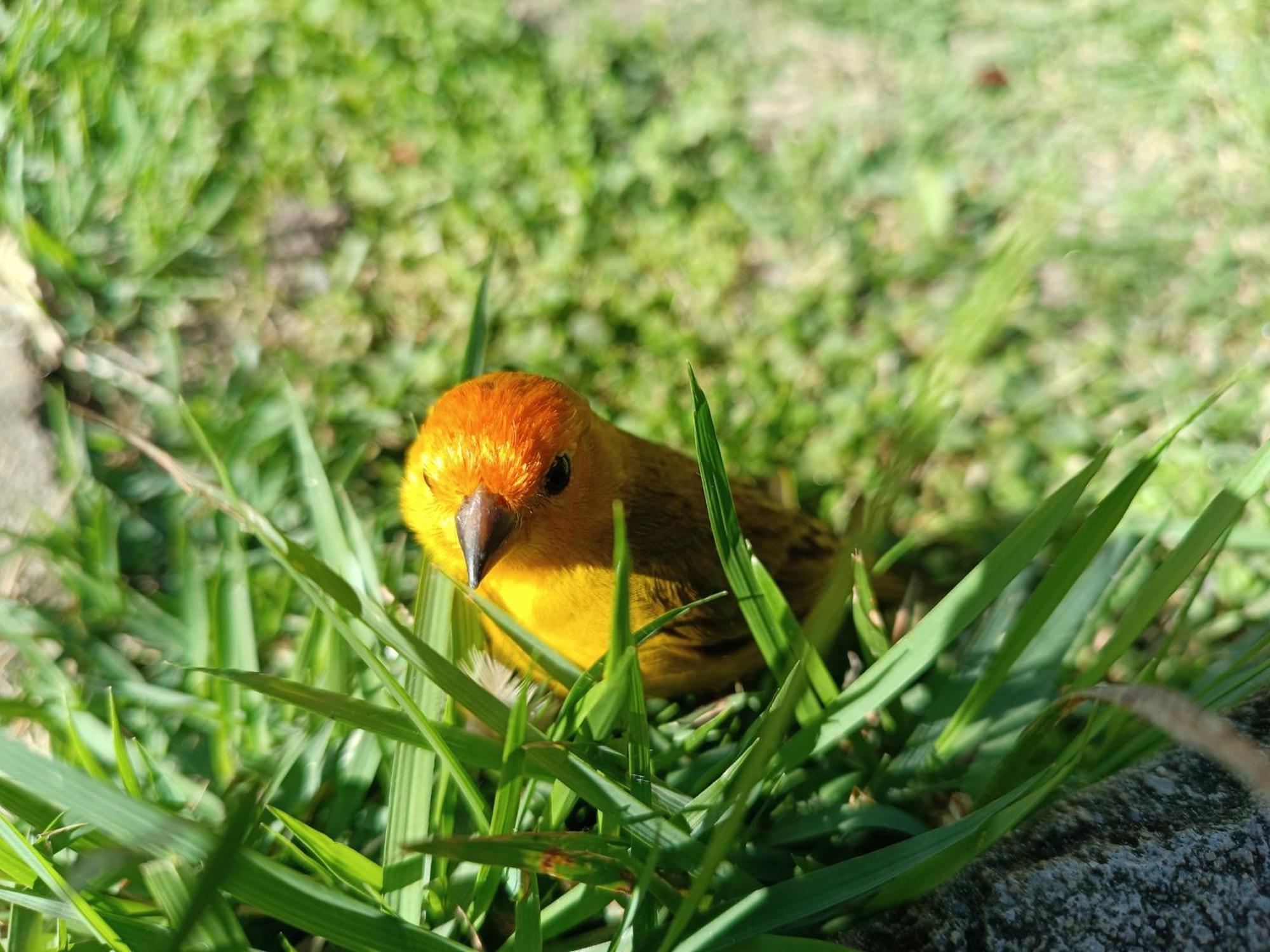 Toca dos Coelhos Chalés Carrancas Exterior foto